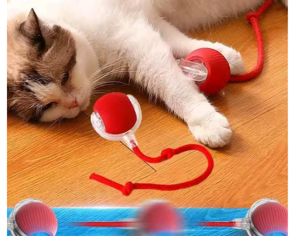 Pelota Interactiva Inteligente Para Mascotas Color Rojo