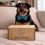 Caja Suscripción Para Perros
