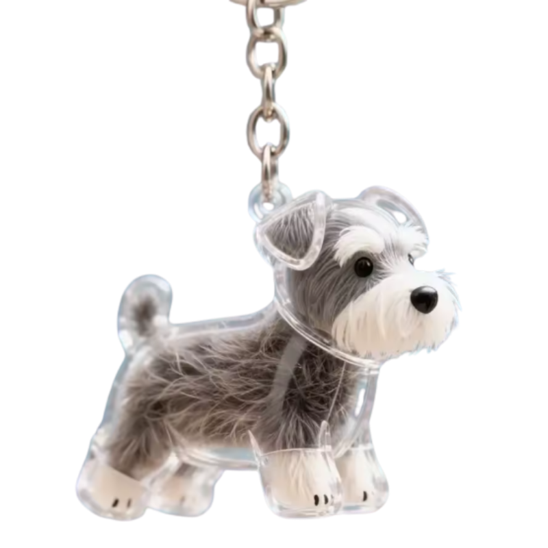 Llavero Transparente Cápsula De Almacenamiento De Pelo De Perro