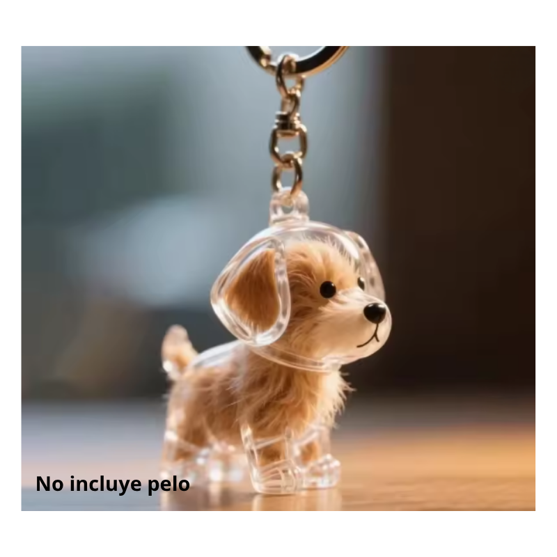 Llavero Transparente Cápsula De Almacenamiento De Pelo De Perro