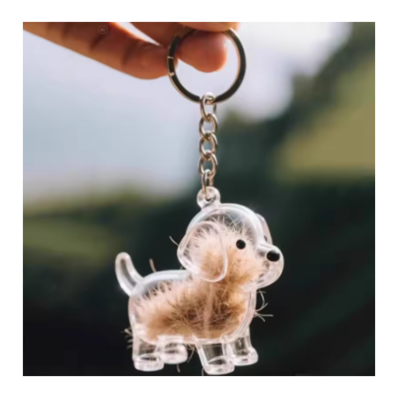 Llavero Transparente Cápsula De Almacenamiento De Pelo De Perro