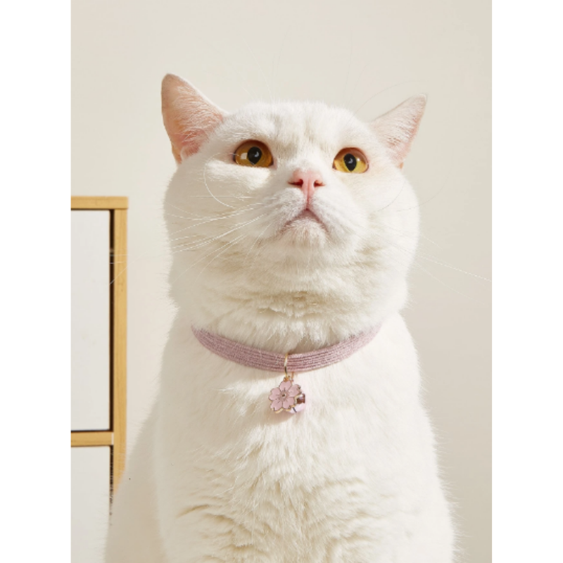 Collar Rosado Para Mascotas Con Colgante Floral Y Campana