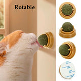 Bola de catnip