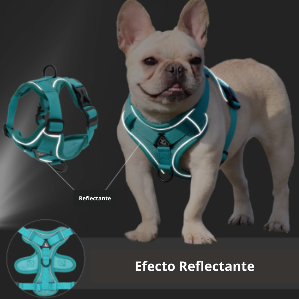 Arnês refletivo azul claro