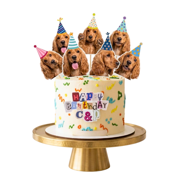 Torta De Cumpleaños Moderna Para Mascotas