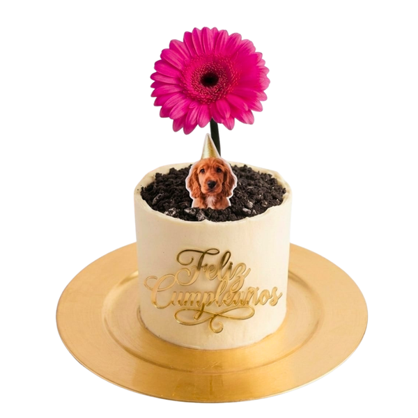 Torta De Cumpleaños Moderna Para Mascotas