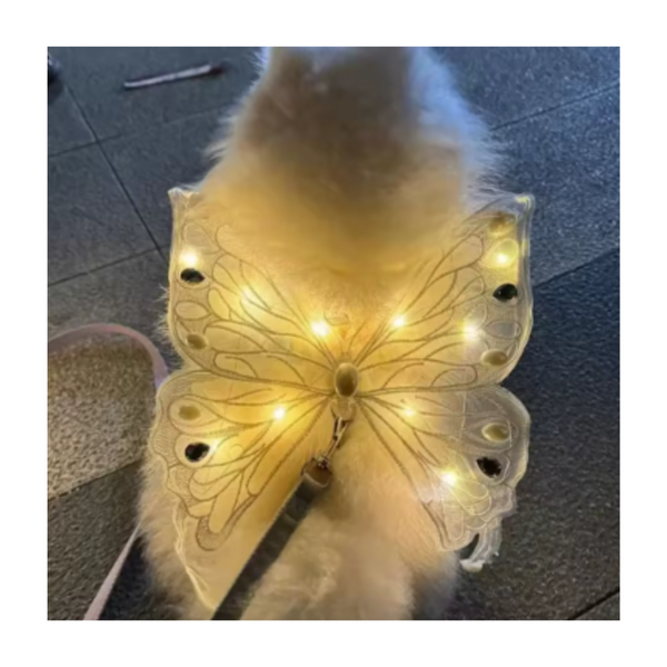 Alas De Mariposa Para Mascotas - Moxy Pet Box