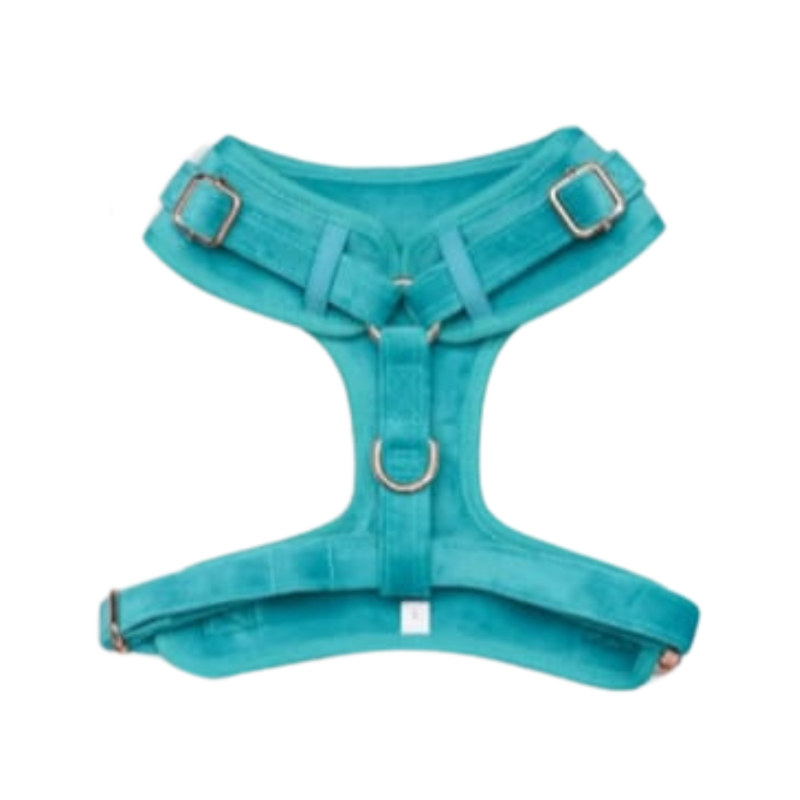 Arnés Calipso Xcho Para Mascotas Talla M