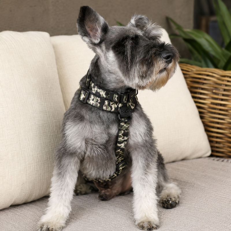 Arnés “H” Camuflaje + Collar – Talla M BRNX