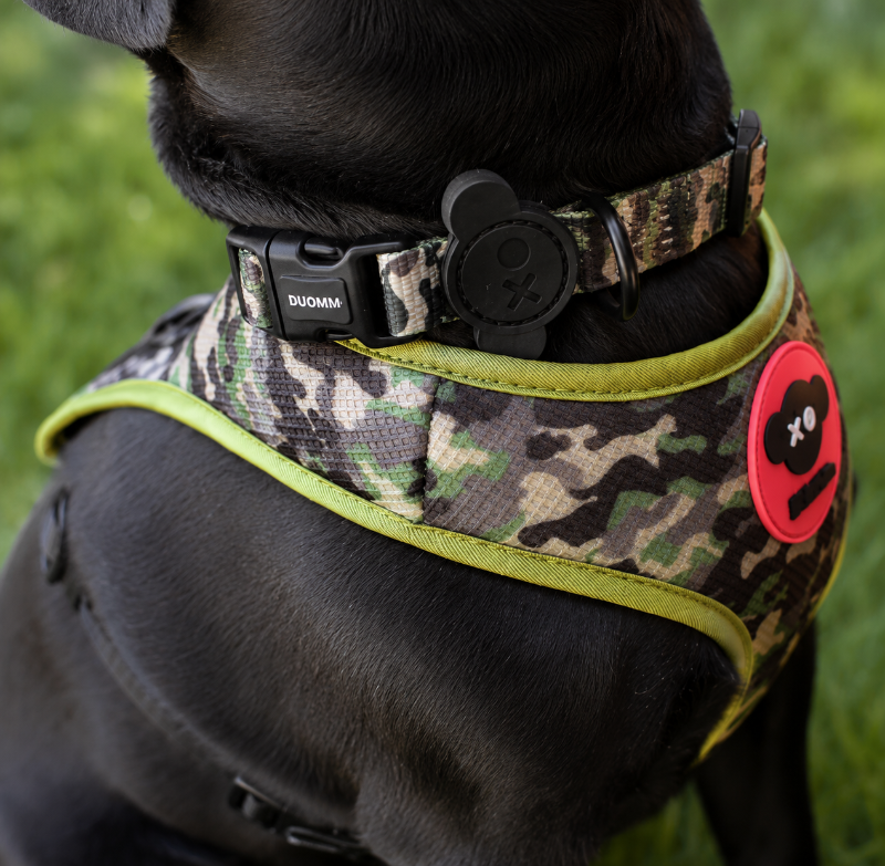 Arnés “H” Camuflaje + Collar – Talla M BRNX