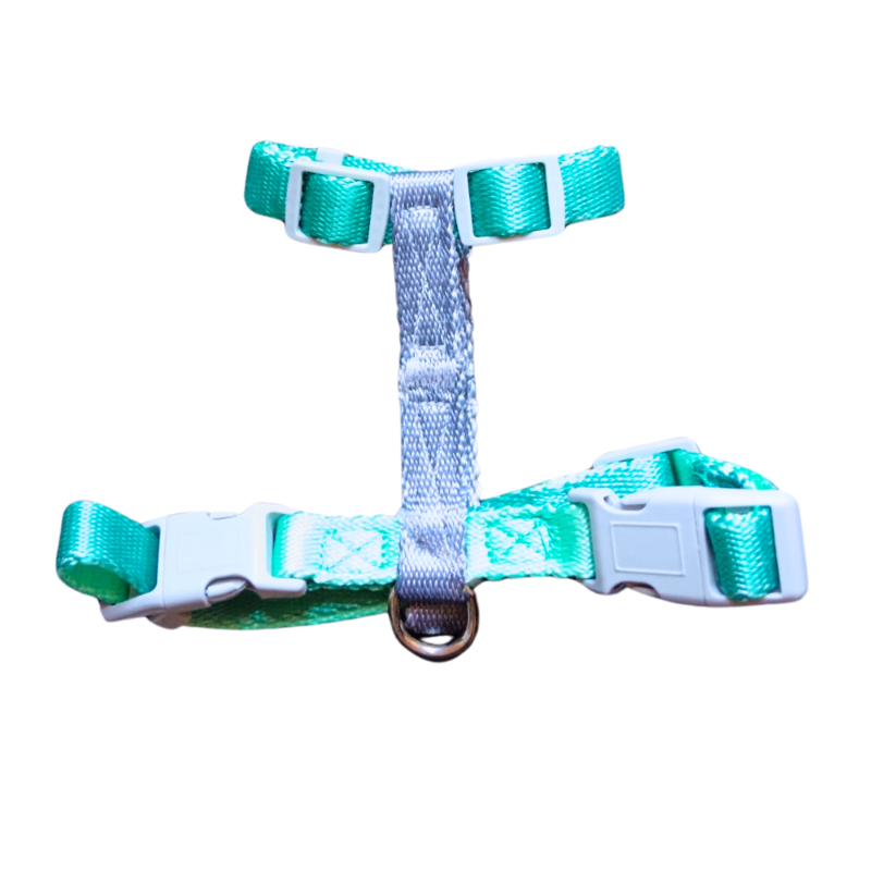 Arnés Tipo H Color Verde Agua Para Perros - Moxy Pet Box