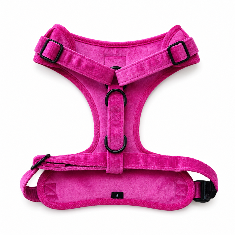 Arnés Fucsia Xcho Para Mascotas