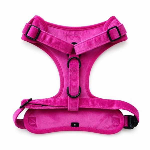 Arnés Fucsia Xcho Para Mascotas