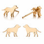 Aros Con Diseño De Labrador Dorado Acero Inoxidable