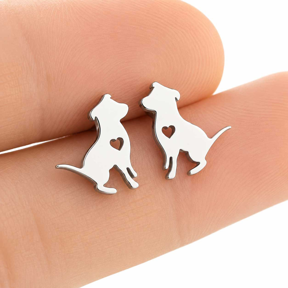 Aros De Perro Plateado