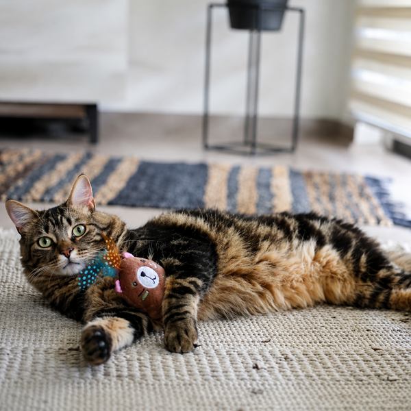 BRNX Juguete Oso Boho Para Gatos