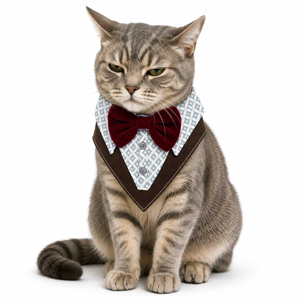 Bandana De Etiqueta - Gala Para Gatos