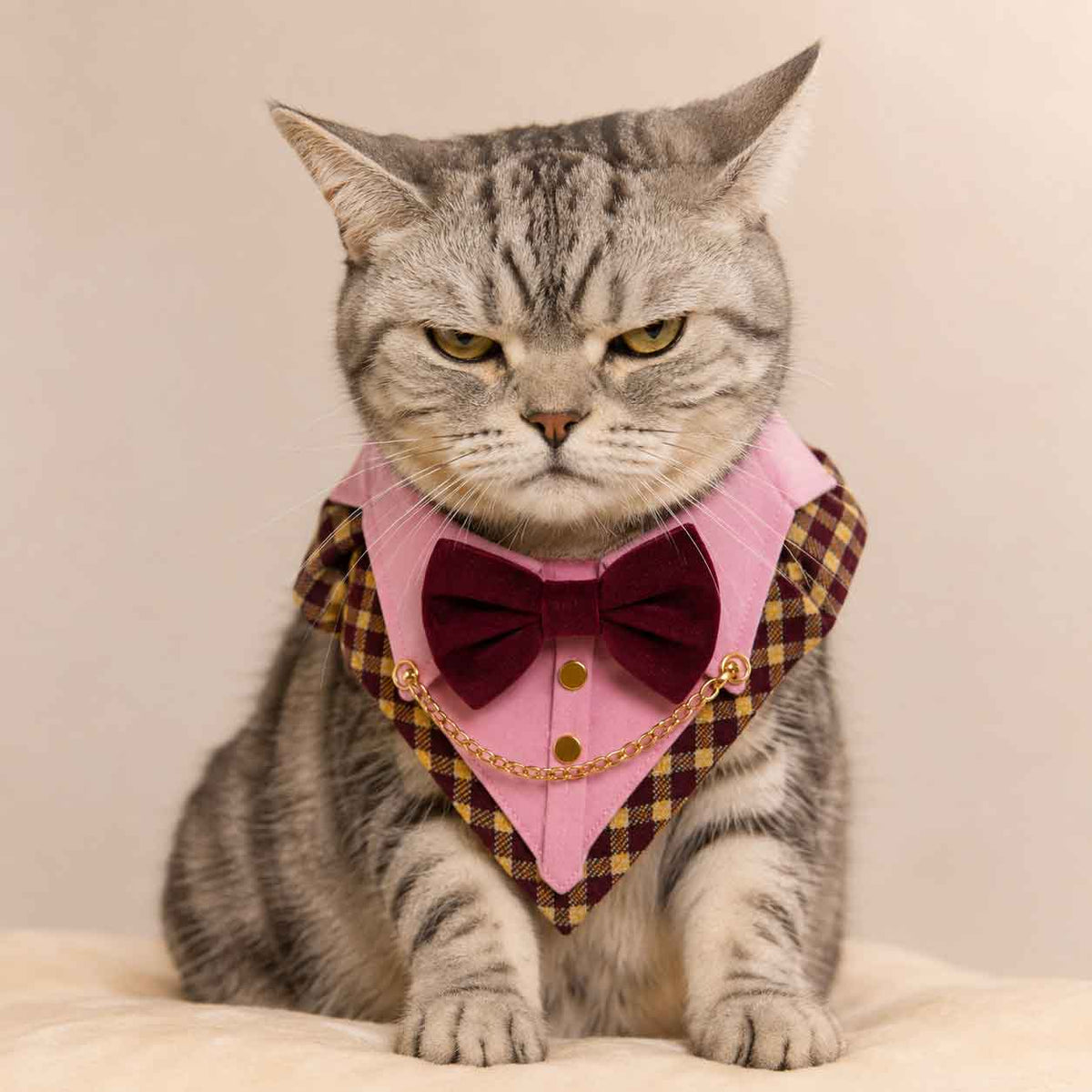 Bandana De Etiqueta Humita Roja y Burdeo - Gala Para Gatos