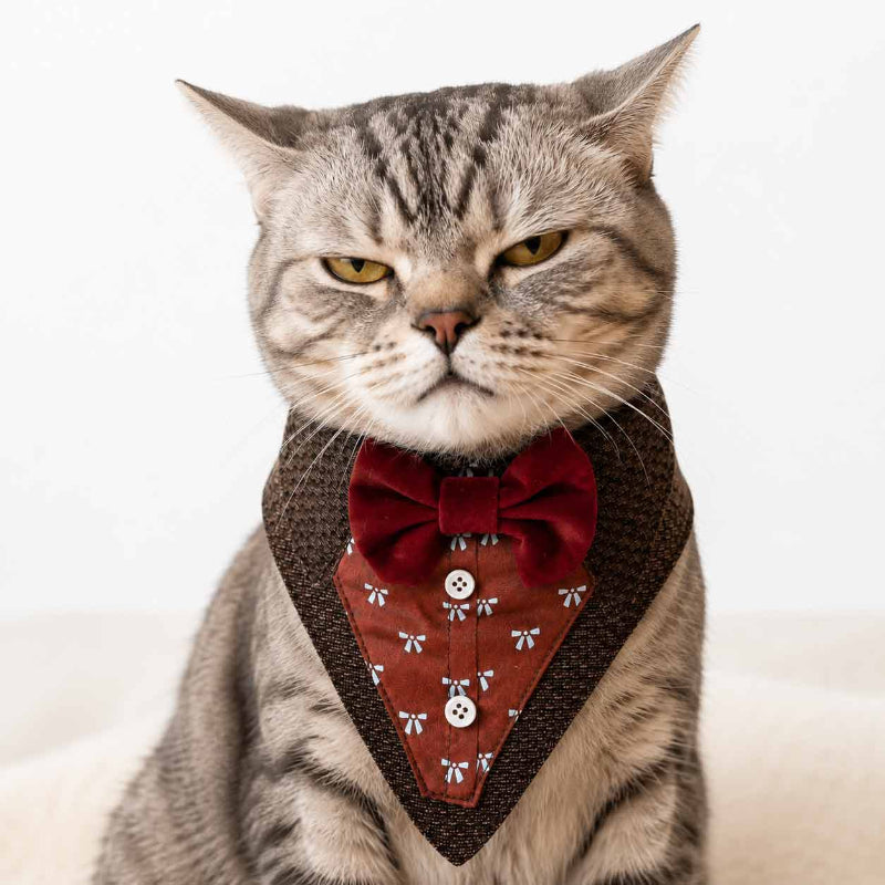 Bandana Esmoquin Para Gatos Accesorio Formal de Gala