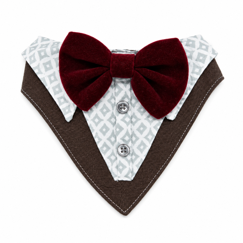 Bandana De Etiqueta - Gala Para Gatos