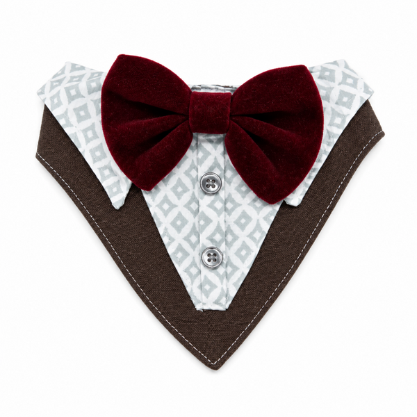 Bandana De Etiqueta - Gala Para Gatos
