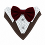 Bandana De Etiqueta - Gala Para Gatos