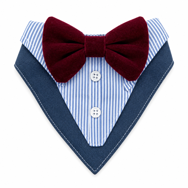 Bandana De Etiqueta - Gala Para Perros Y Gatos