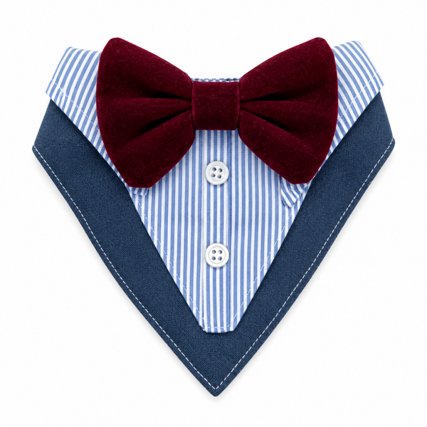 Bandana De Etiqueta - Gala Para Perros Y Gatos
