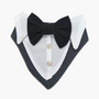 Bandana De Etiqueta - Gala Para Perros y Gatos Negro - Moxy Pet Box