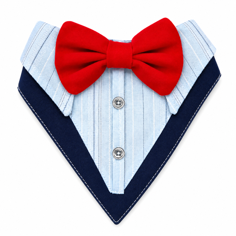 Bandana De Etiqueta Humita roja - Gala Para Gatos
