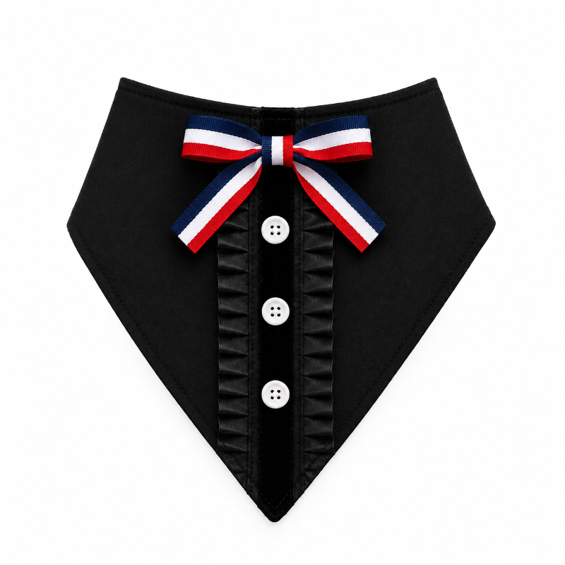 Bandana Fiestas Patrias Para Perros Huaso