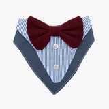 Bandana de Gala para Perros y Gatos – Modelo Azul Accesorio de Etiqueta - Moxy Pet Box