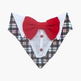 Bandana de Gala para Perros y Gatos – Modelo Cuadros Accesorio de Etiqueta - Moxy Pet Box