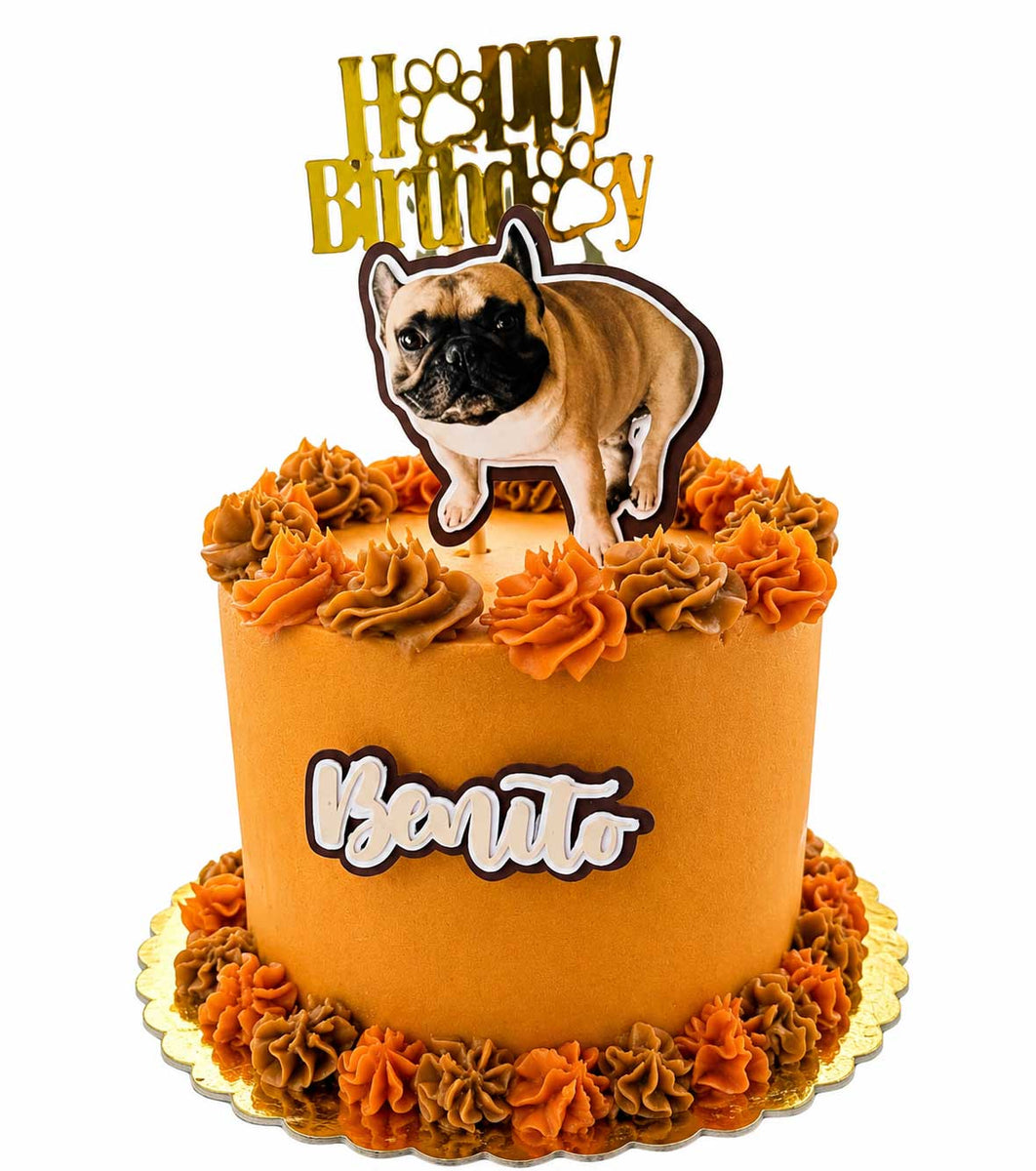 Tortas De Cumpleaños Para Mascotas