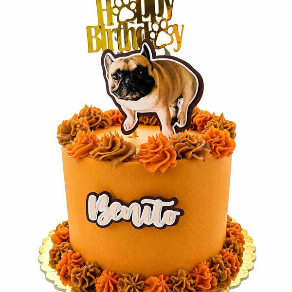 Tortas De Cumpleaños Para Mascotas