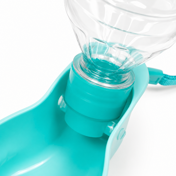 Botella De Agua Para Mascotas Verde Agua
