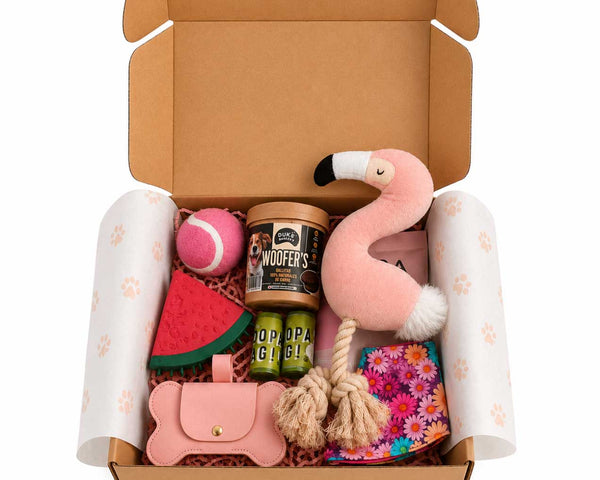 Caja Primaveral Para Mascotas Flamenco