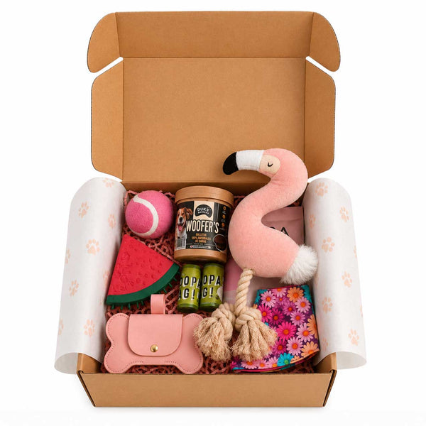 Caja Primaveral Para Mascotas Flamenco