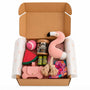 Caja Primaveral Para Mascotas Flamenco