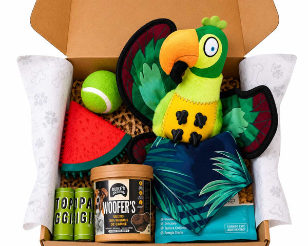 Caja Primaveral Para Mascotas Loro