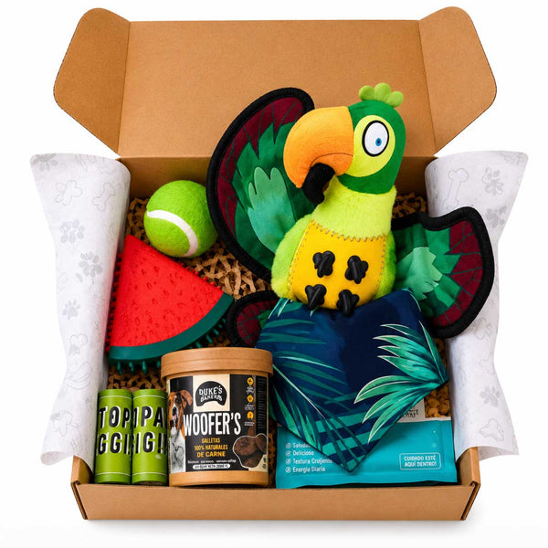 Caja Primaveral Para Mascotas Loro