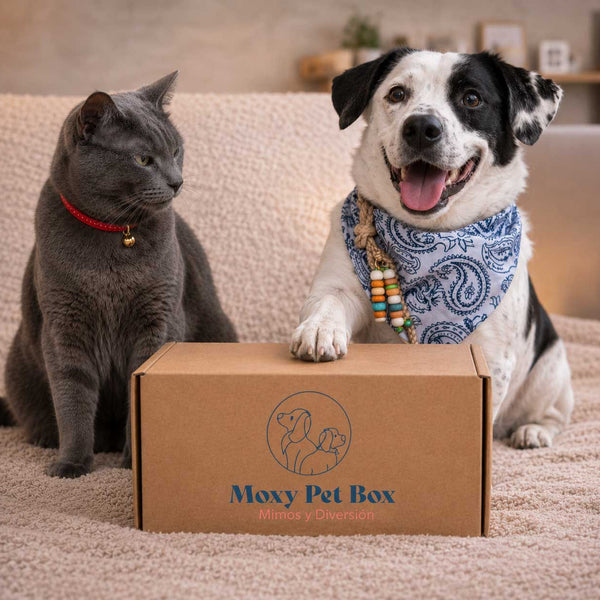 Caja Suscripción Para Perro Y Gato