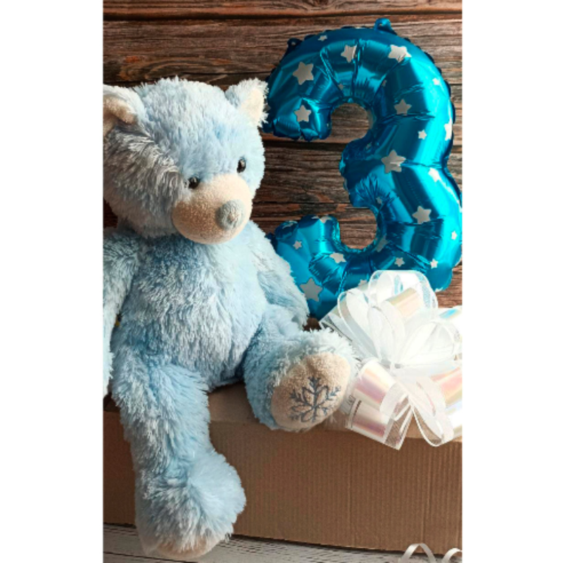 Caja De Cumpleaños Para Perro/ Gato - Moxy Pet Box
