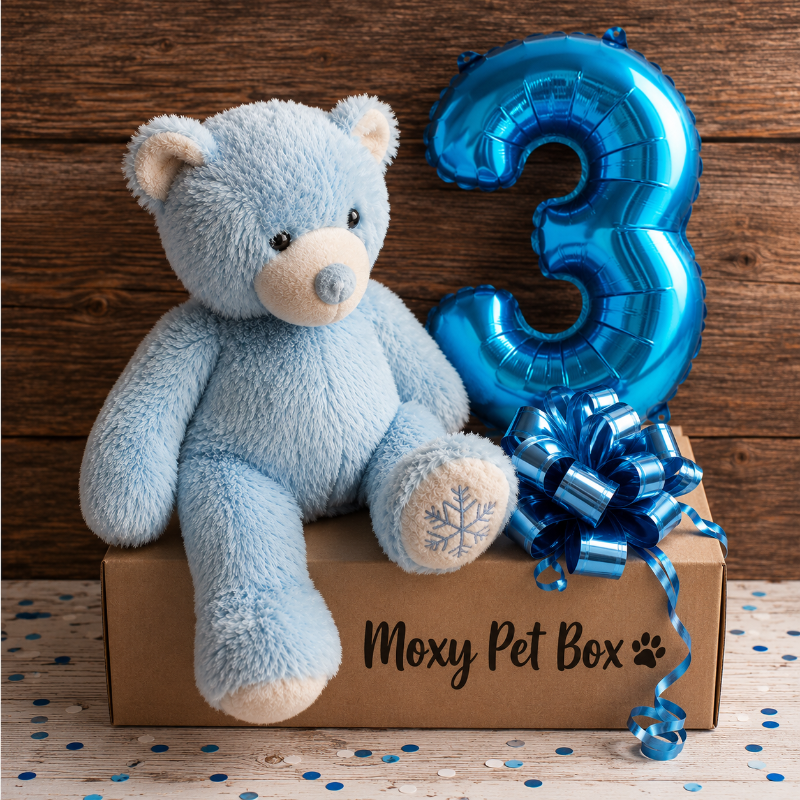 Caja Sorpresa De Cumpleaños Para Mascotas
