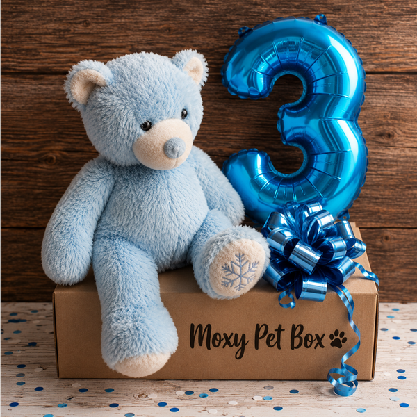 Caja Sorpresa De Cumpleaños Para Mascotas