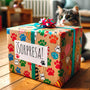 Caja Sorpresa De Snacks Naturales - Moxy Pet Box