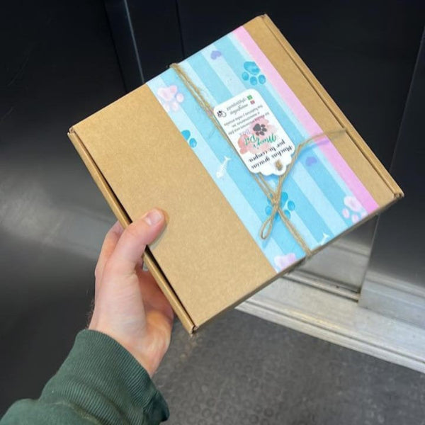 Caja Suscripción Para Gatos - Moxy Pet Box