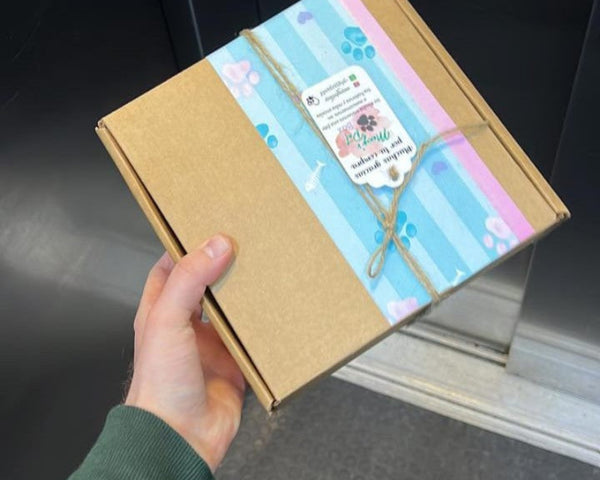 Caja Suscripción Para Perro Y Gato - Moxy Pet Box