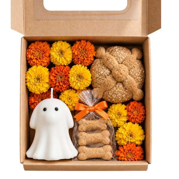 Cajita Día De Los Muertos Para Mascota