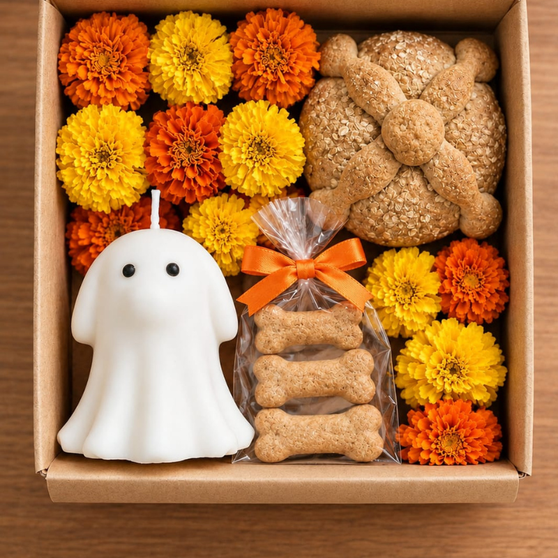 Cajita Día De Los Muertos Para Mascota